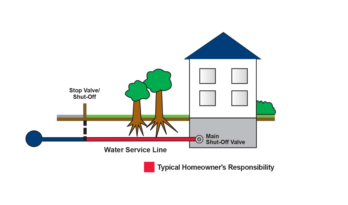 sewer line image.png